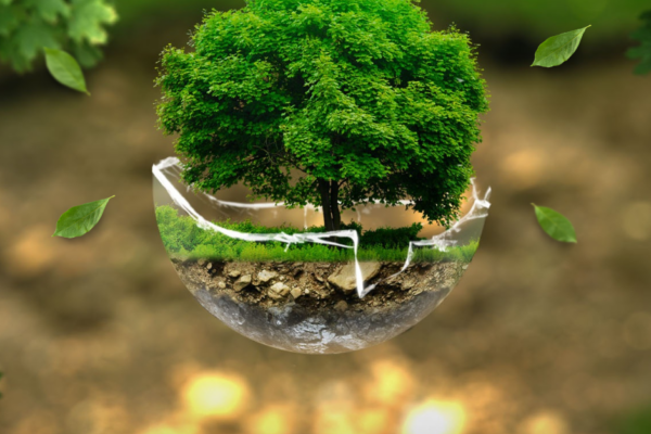 Un día para hablar de medio ambiente