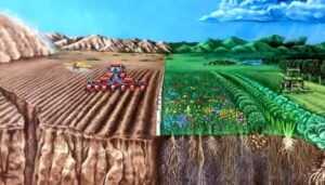 Agricultura regenerativa: por suelos más productivos y sostenibles
