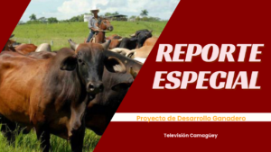 Seis años de Prodegan en Camagüey