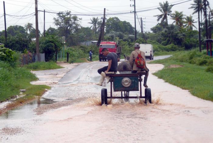 Foto: Ronald Suárez Rivas