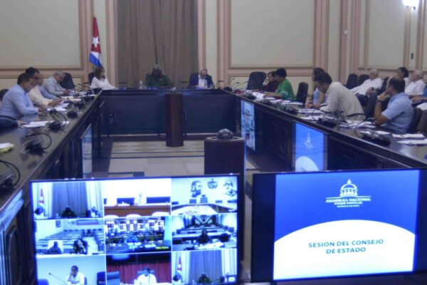 Examina Consejo de Estado resultados preliminares del proceso de rendición de cuenta del delegado a sus electores y otros temas de la agenda nacional