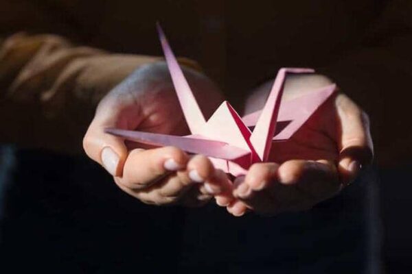 Un Viaje de Papel