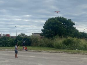 Papalotes para surcar el cielo
