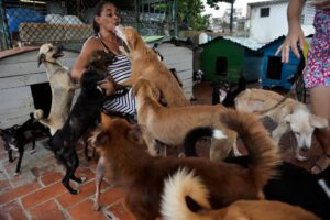 Se puede hacer mucho mas a favor del Bienestar animal