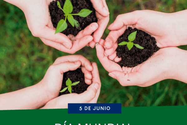 Vigilancia y control ambiental prioridad en Camagüey
