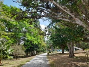 Jardín Botánico de Camagüey: un espacio de vida y conservación (+fotos)