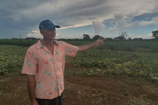Productor camagüeyano destaca en ganadería y cultivos varios
