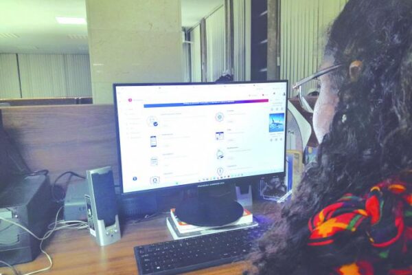 Actualmente, la plataforma describe 294 trámites y servicios, pero ha comenzado su operación con 15 servicios en línea concretos