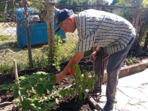 El patio de Caro, tierra que enseña (+ Galería)