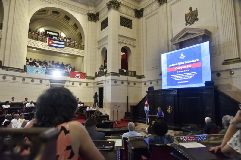 Celebran audiencia pública parlamentaria «Cuba quiere paz» Foto: Abel Rojas Barallobre