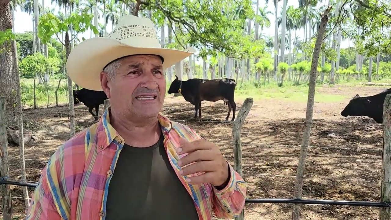 Finca '''La Marina'' muestra elevados resultados en el aporte de carne y leche.